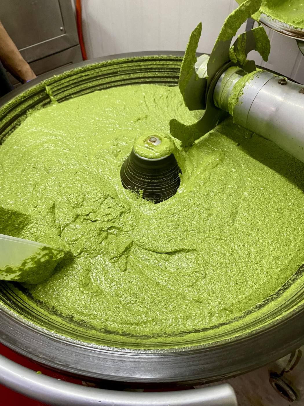 Freshly made basil pesto in a commercial mixer
